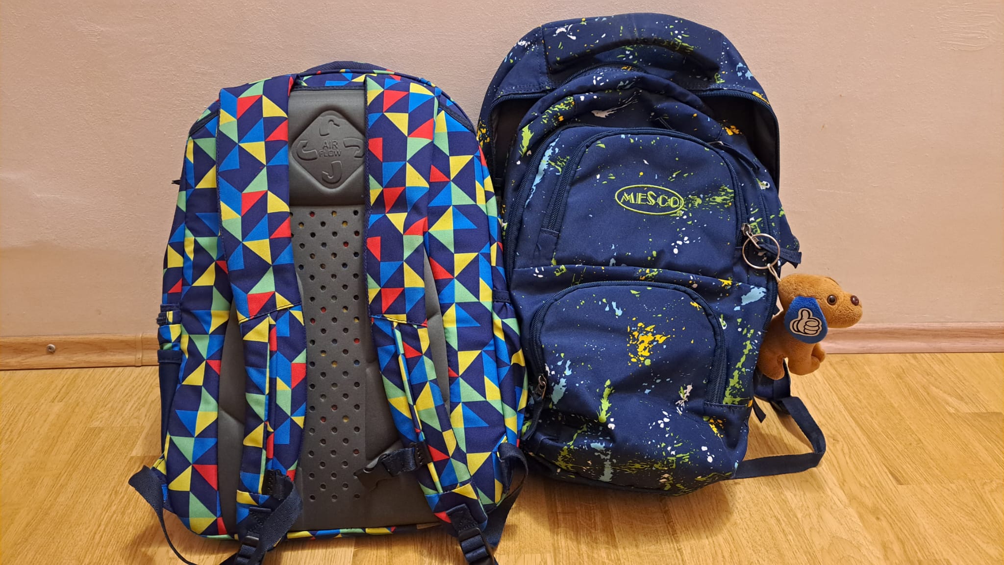 Elevii dintr-un comitat din Florida sunt OBLIGAȚI să meargă la școală cu ghiozdane transparente, pentru a fi evitate incidentele cu arme de foc