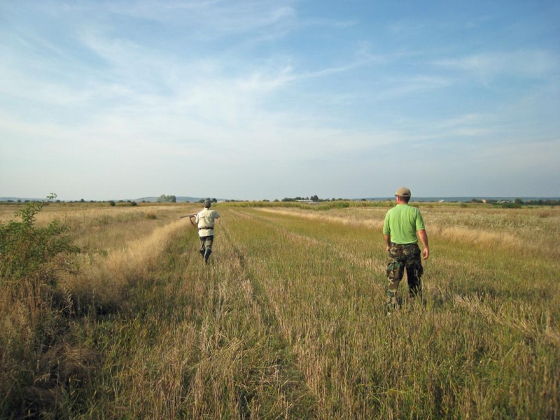 ONG-uri de mediu: Proiectul privind introducerea cotelor de vânătoare la urs nu rezolvă problema conflictelor cu ursul, ci dă undă verde străinilor
