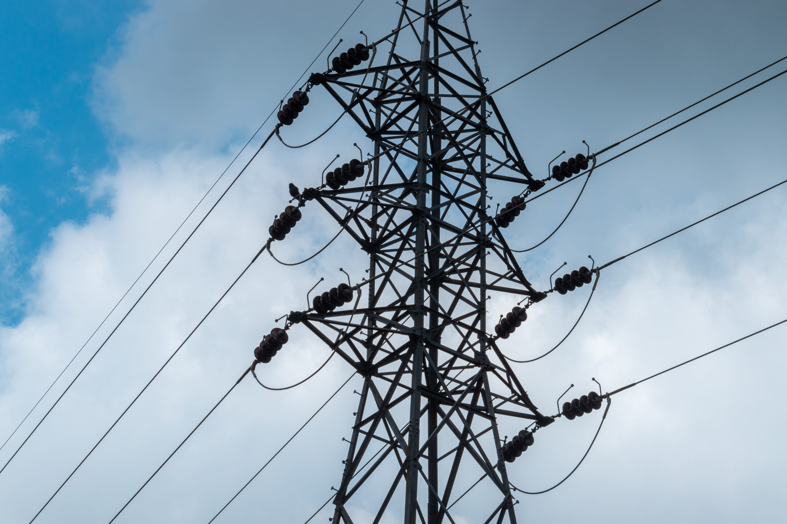 MAE face precizări după întrevederea ministrului de Externe, Luminița Odobescu, cu ministrul ucrainean al energiei, Gherman Galushchenko