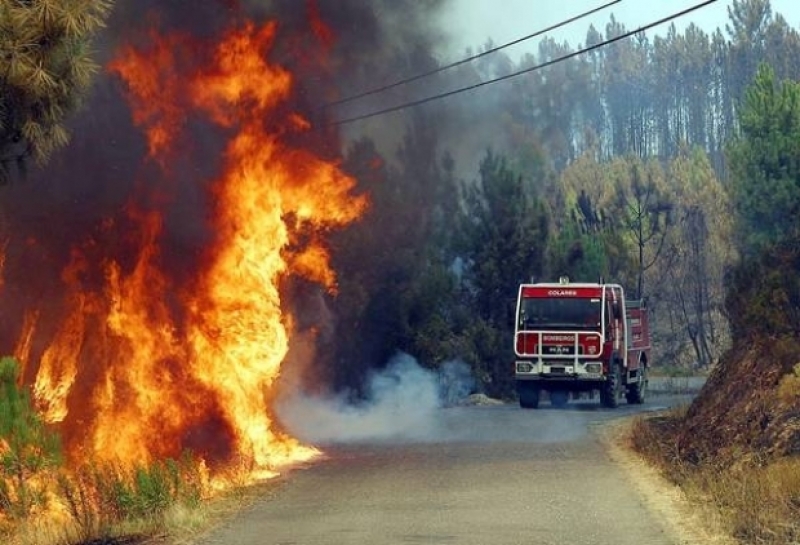 Canada: pregătiri pentru cel mai grav sezon de incendii de vegetație