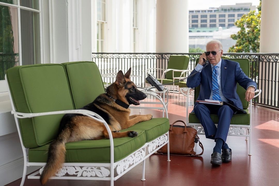 Câinele lui Joe Biden, Commander, a mușcat 10 agenți Secret Service. Președintele îl trimite la reeducare