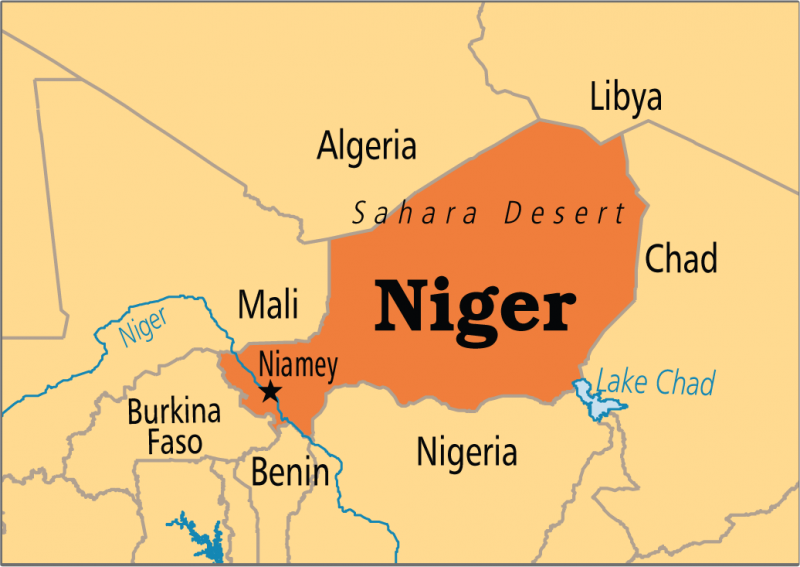 Liderii din Comunitatea Economică a Statelor din Africa de Vest trimit un ultimatum puciştilor din Niger