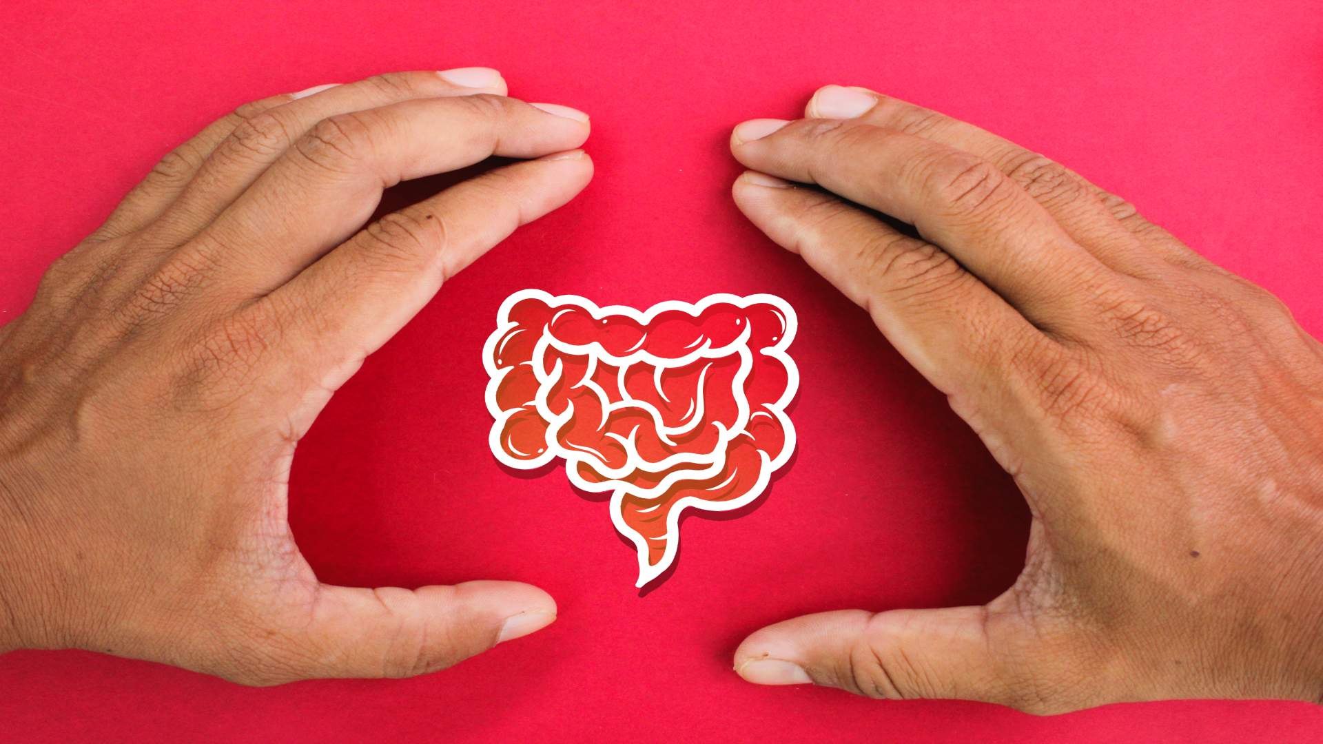 Probioticele și sănătatea sistemului digestiv: Cum te pot ajuta să te simți mai bine