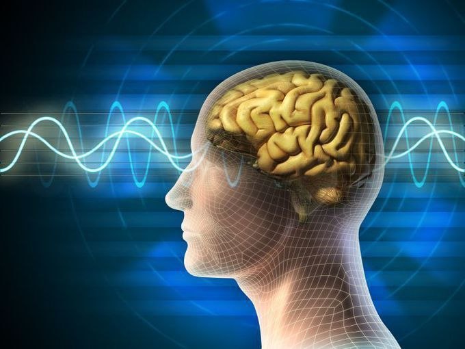 Cum ajută creierul învățarea unui instrument muzical. Prof. dr. Leon Dănăilă: „Se vor forma noi circuite neuronale”