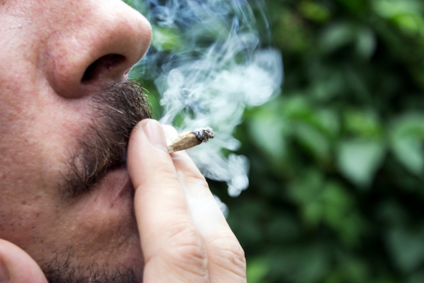 Factorii genetici care duc la dependența de canabis. Studiul care a implicat peste un milion de oameni