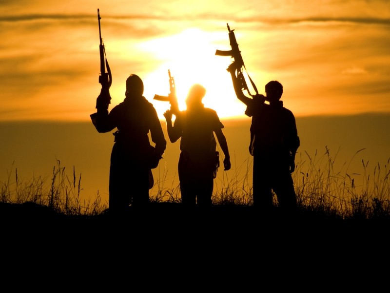 Organizații teroriste ca Hamas, în apropierea României. Ce spune raportul unor servicii secrete