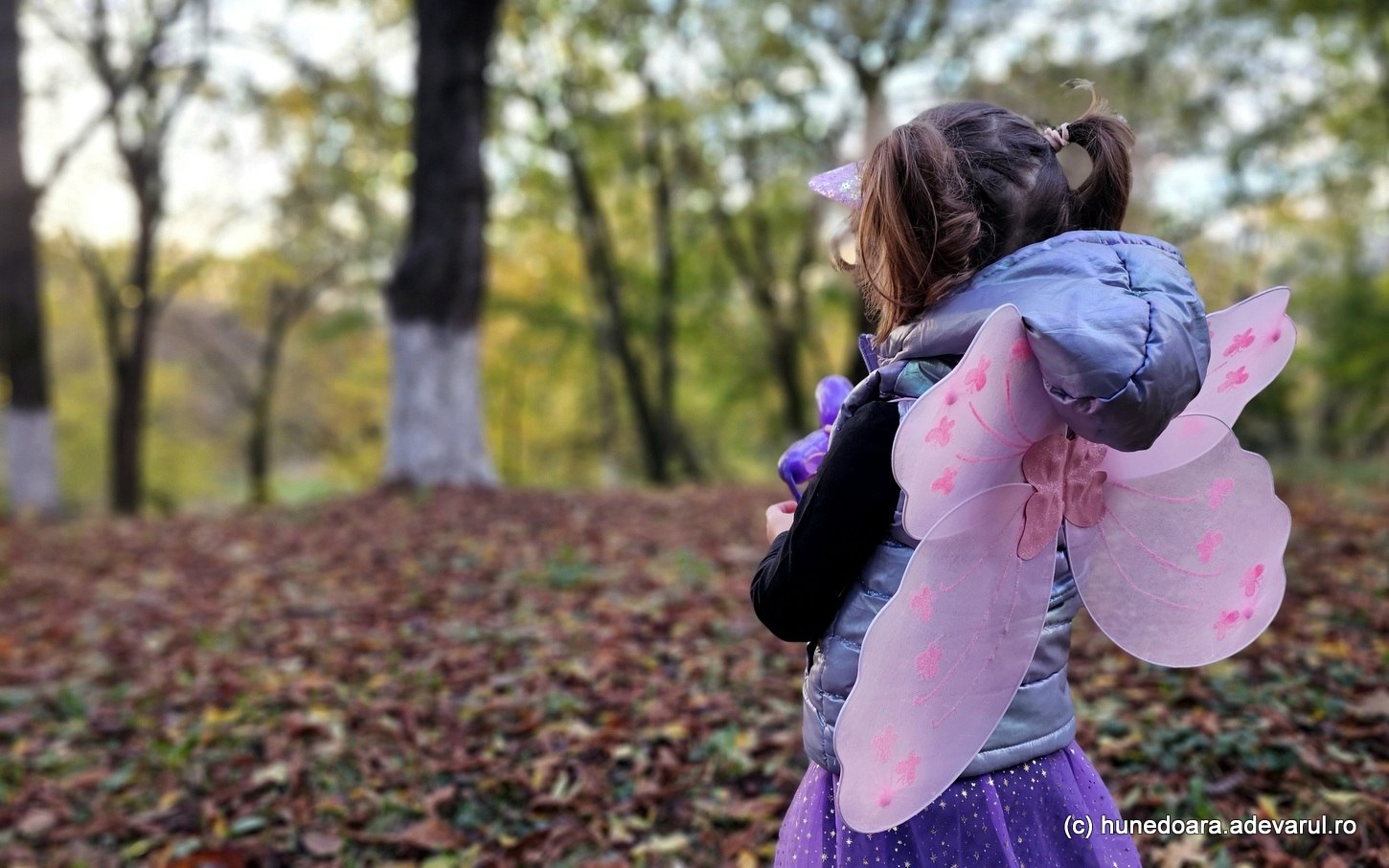 Cum ne putem imbunătăți gratuit starea aproape de natură, chiar și în orașe aglomerate. Sfaturile unor oameni de știință