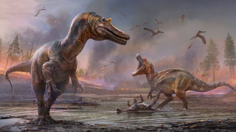 O nouă specie de titanozaur a fost descoperită în China: a trăit acum 70 de milioane de ani în Cretacic