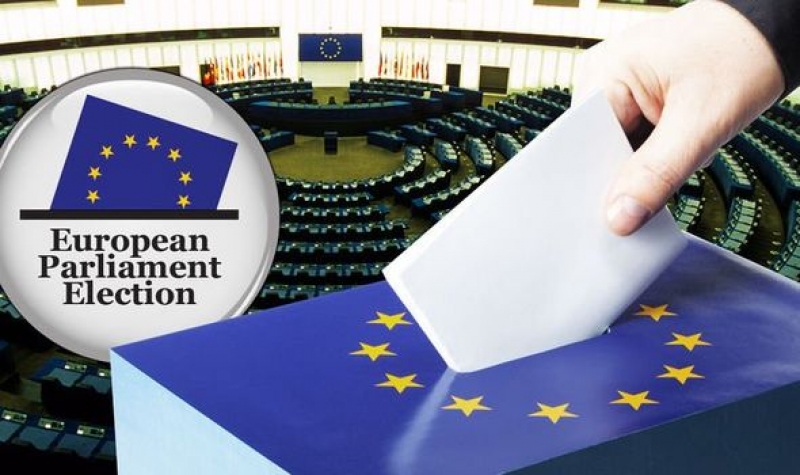 Strategul PSD, aruncat în luptă la alegerile europarlamentare de filiala judeţeană Timiș