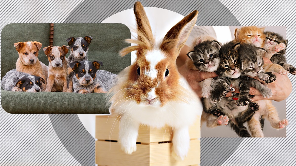 Cum poți vedea lumea fără să plătești CAZARE