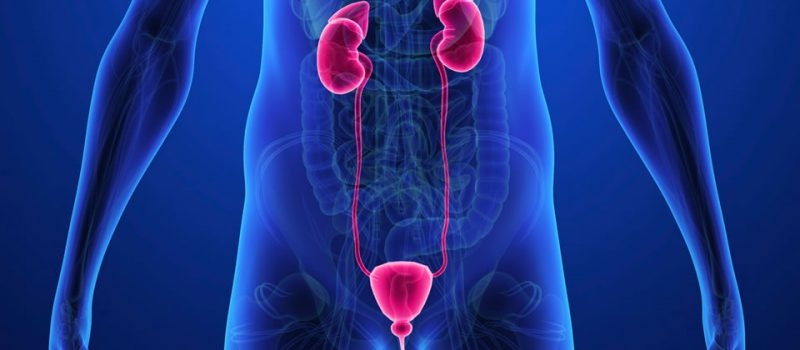 Explicația oamenilor de știință pentru creșterea puternică a numărului cancerelor de prostată la nivel mondial