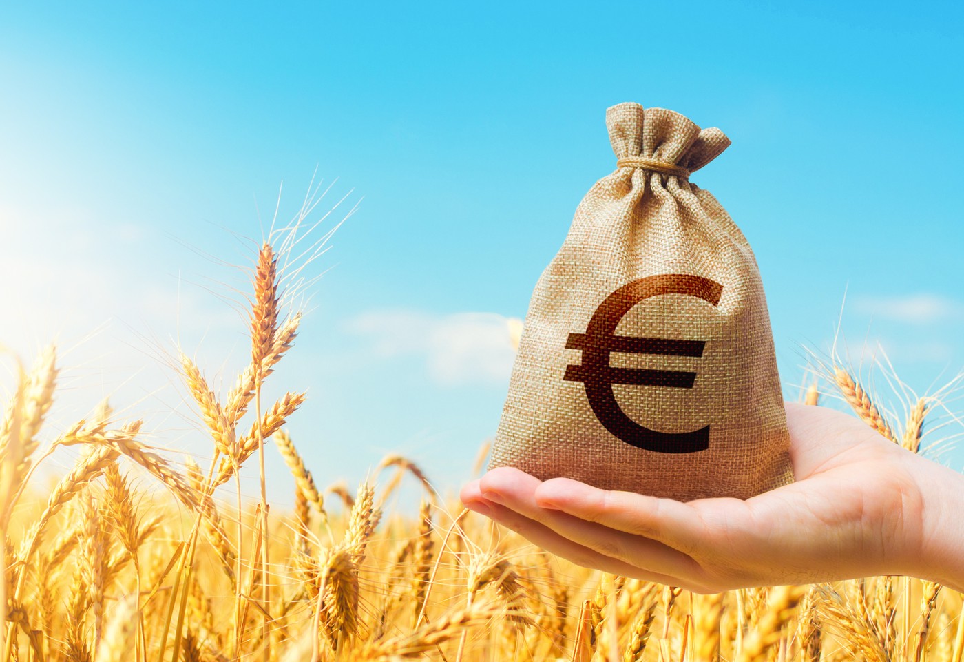 Județul din România cu cel mai mare potențial pentru investiții