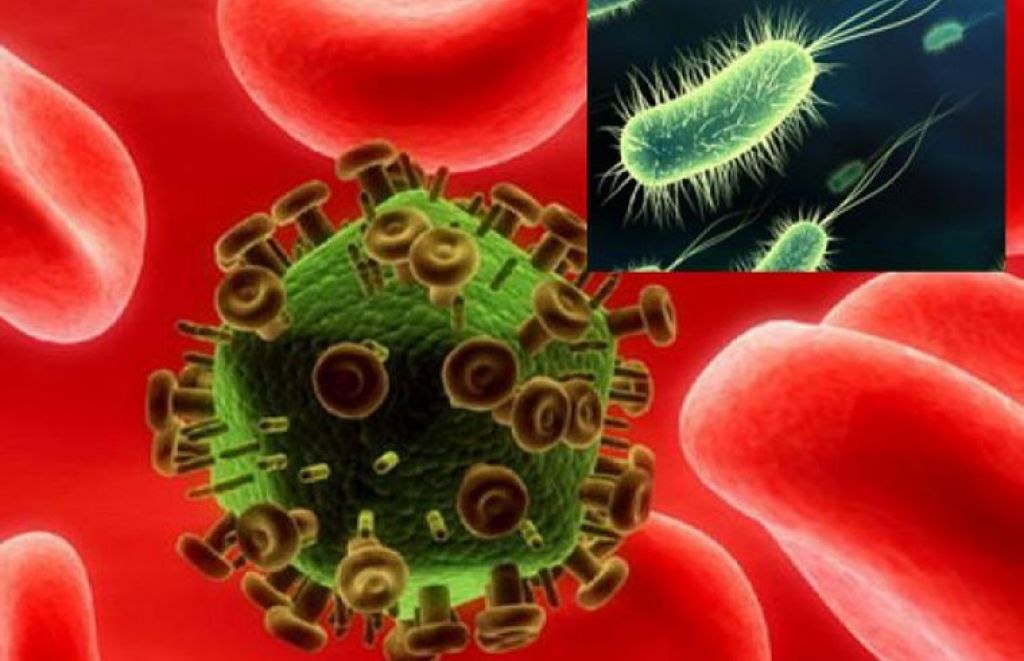 Superbacteriile care fac șah-mat sistemul medical. Omenirea este tot mai vulnerabilă în fața microorganismelor