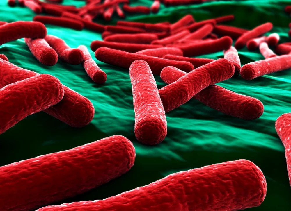 Pandemia de COVID-19 va păli în fața superbacteriilor rezistente la medicamente