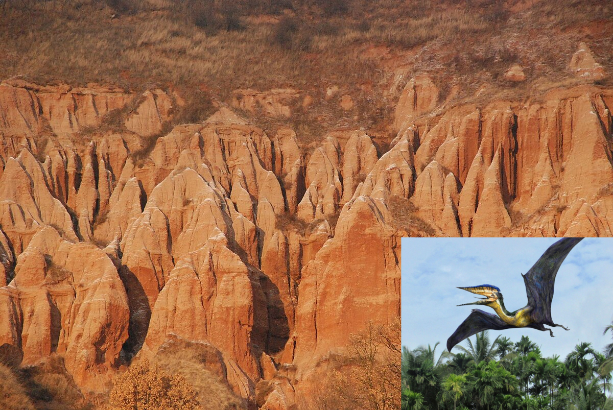 Rezervația naturală pe care o poți vizita cu ocazia Zilei Copilului