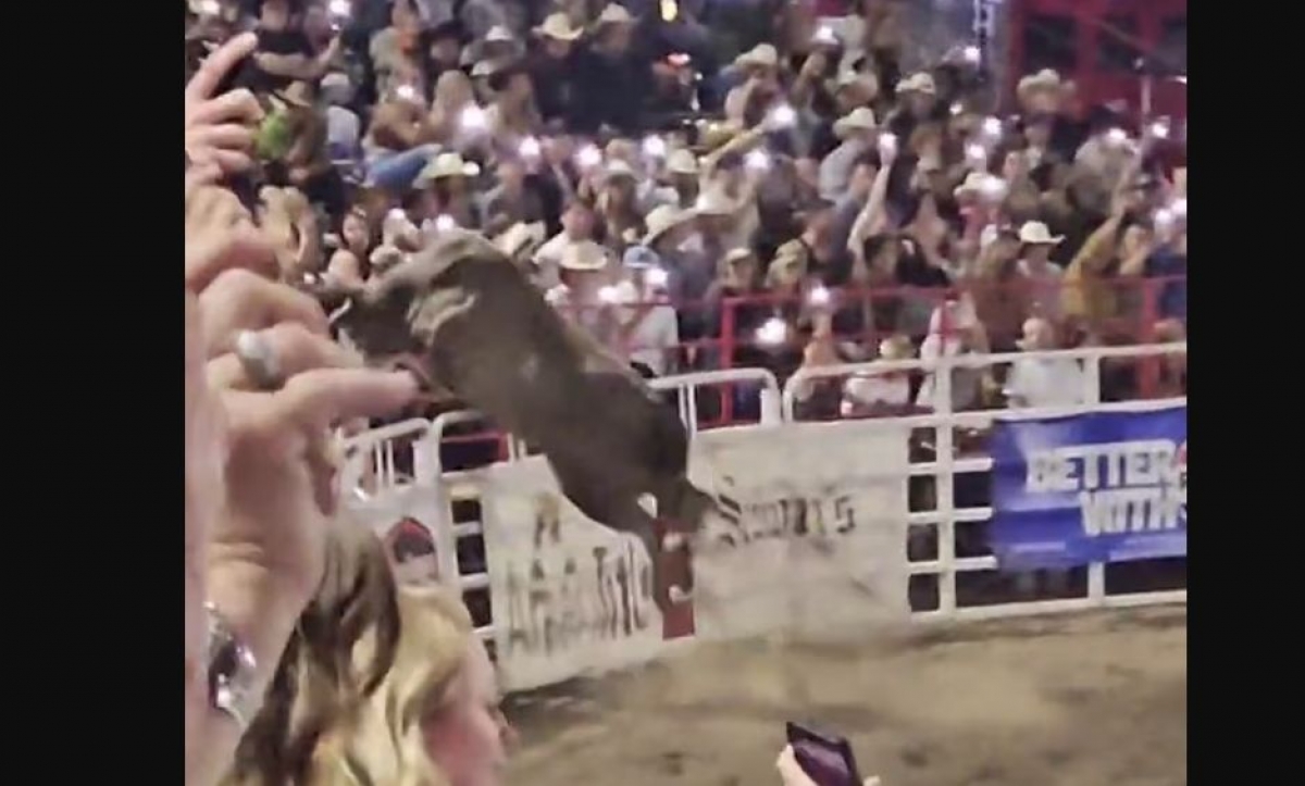 5 persoane au fost rănite