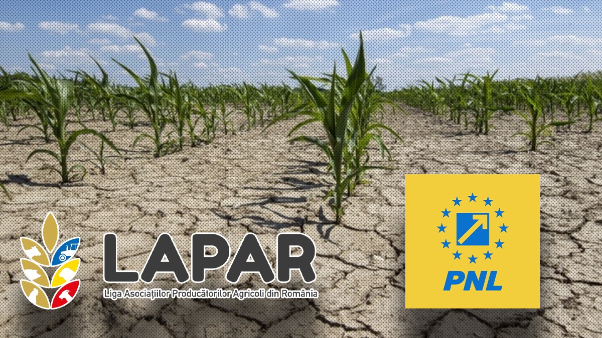 Respingem orice încercare de capitalizare electorală