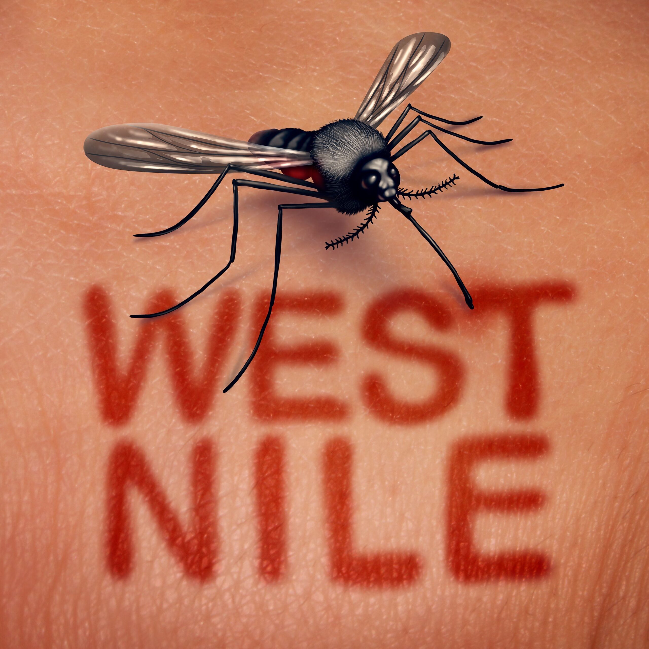 De ce a apărut virusul West Nile în România. Explicațiile unui medic epidemiolog