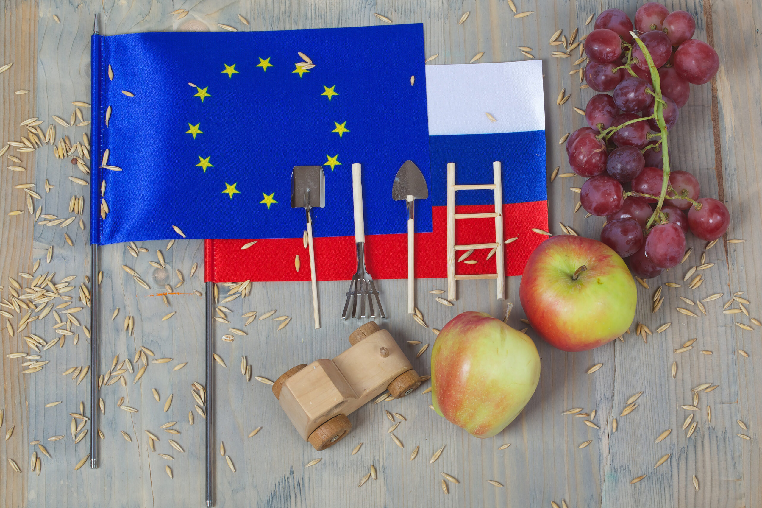 UE analizează posibilitatea majorării TAXELOR pentru mai multe produse agroalimentare rusești