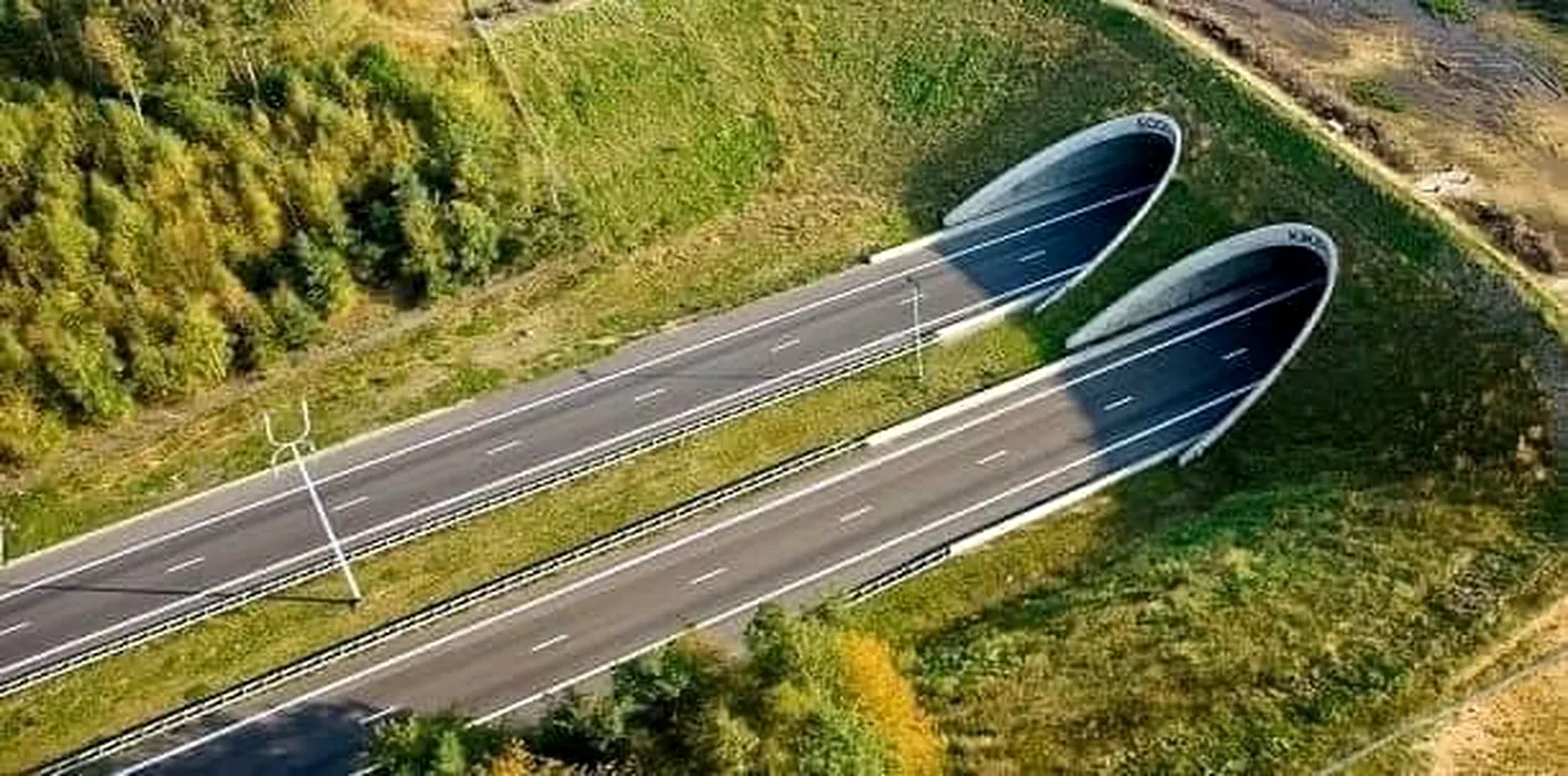 Cine va fi câștigătorul celui mai scump lot de autostradă din România. CNAIR, așteptată să anunțe constructorul Lotului Meseș