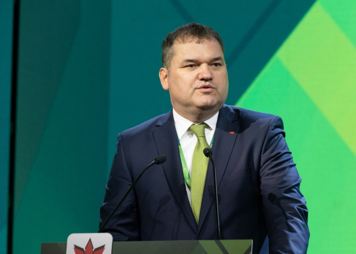 ‘Un președinte fără cunoștințe de matematică pune în pericol România’