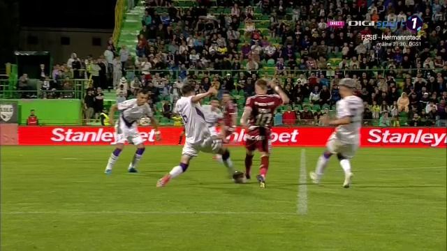 A dat verdictul după ce a văzut faza la care Rapid nu a primit penalty