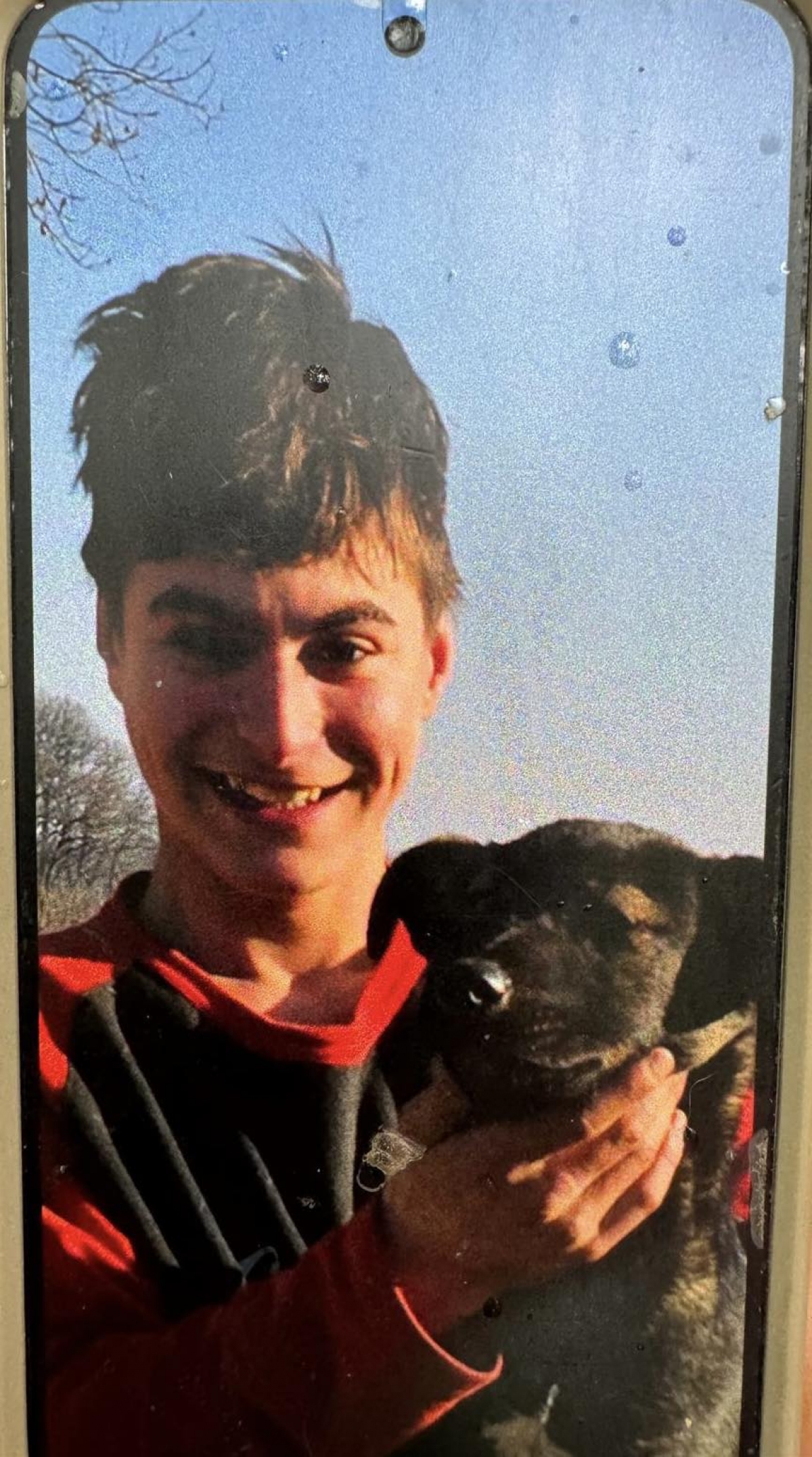 Băiat de 14 ani dat dispărut în Pădurea Ghermănești