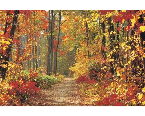 Vremea în următoarele patru săptămâni – Toamnă blândă și secetoasă. Când vin ploile