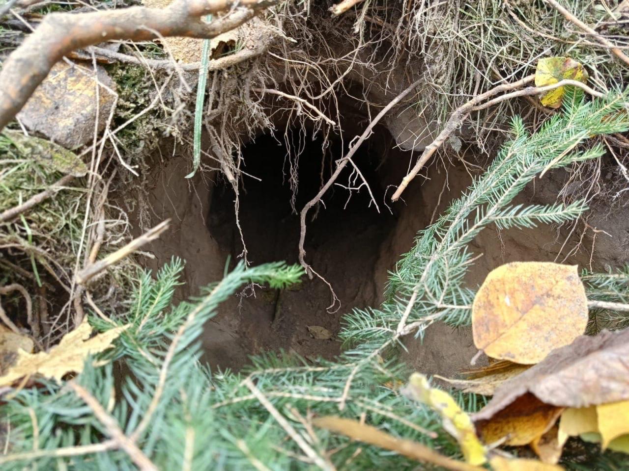 Polonia descoperă la graniță tuneluri spre Belarus