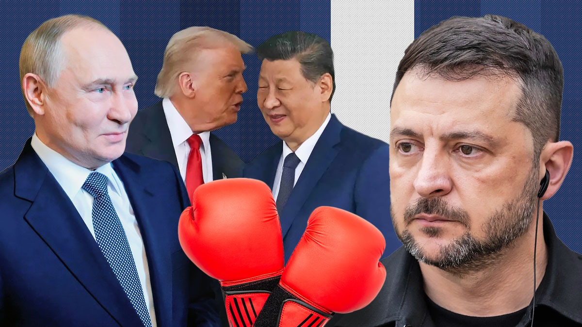 „Mai bine îi lași să se lupte”