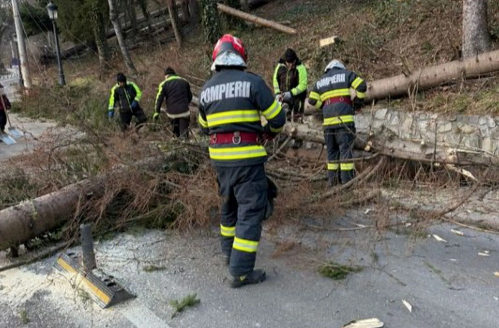 VIDEO Furtuna provoacă noi probleme pe Valea Prahovei, unde mii de români sunt în vacanță: copaci doborâți de vânt, instalații de transport pe cablu oprite