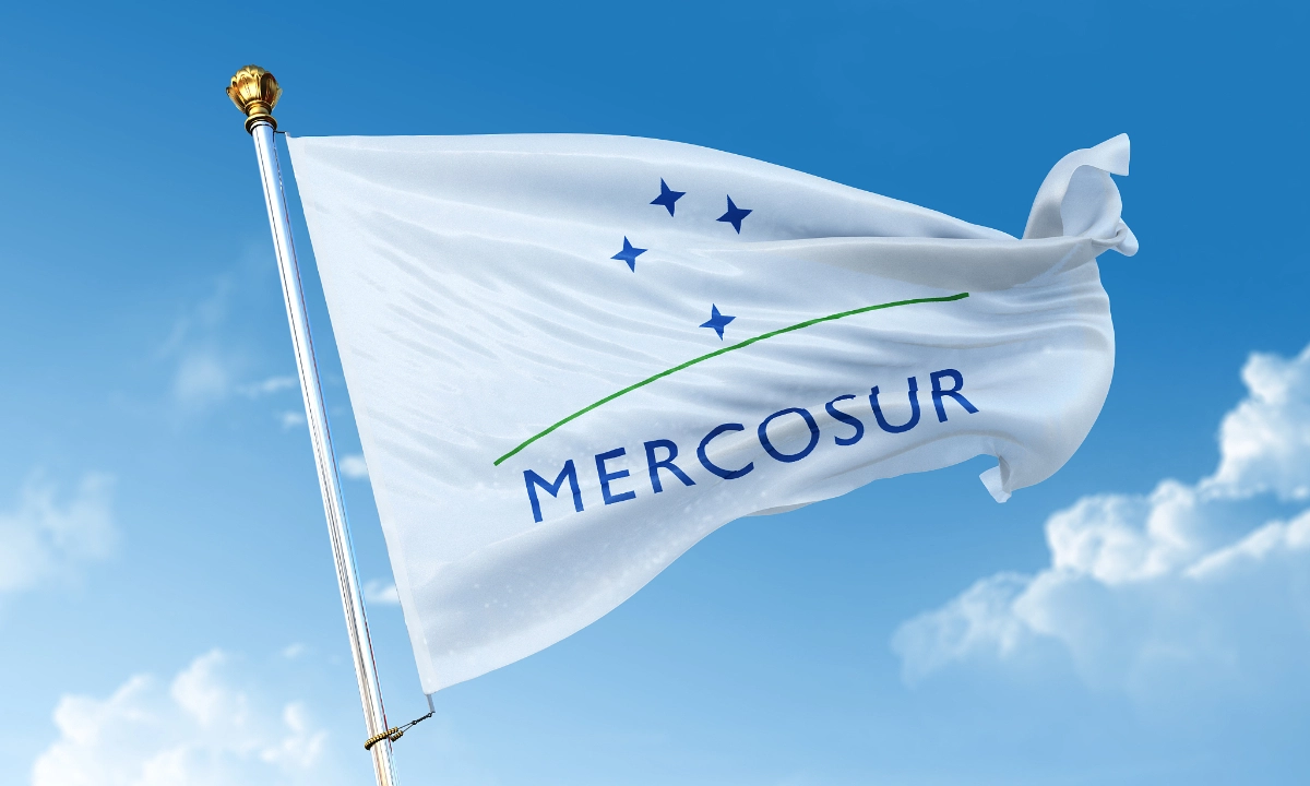 Safeguard clauses for Mercosur must be voted, provisional application belongs to European Commission (MEP Muresan)