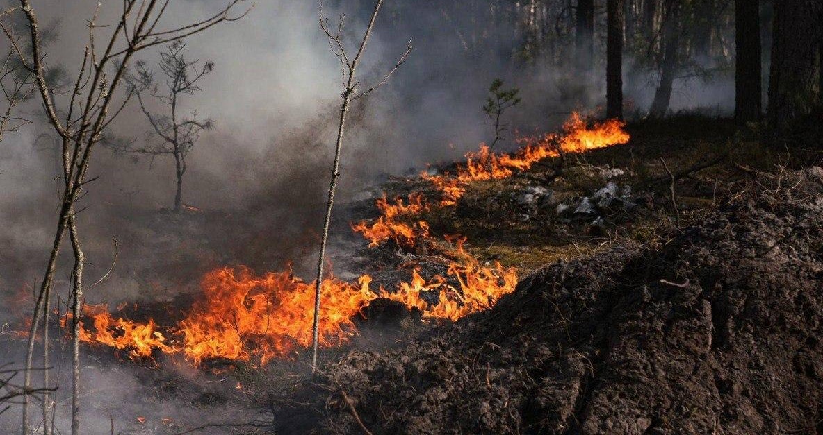 Incendiu de proporții lângă centrala Cernobîl. Focul se extinde rapid, iar operațiunile de stingere sunt îngreunate de minele lăsate de ruși