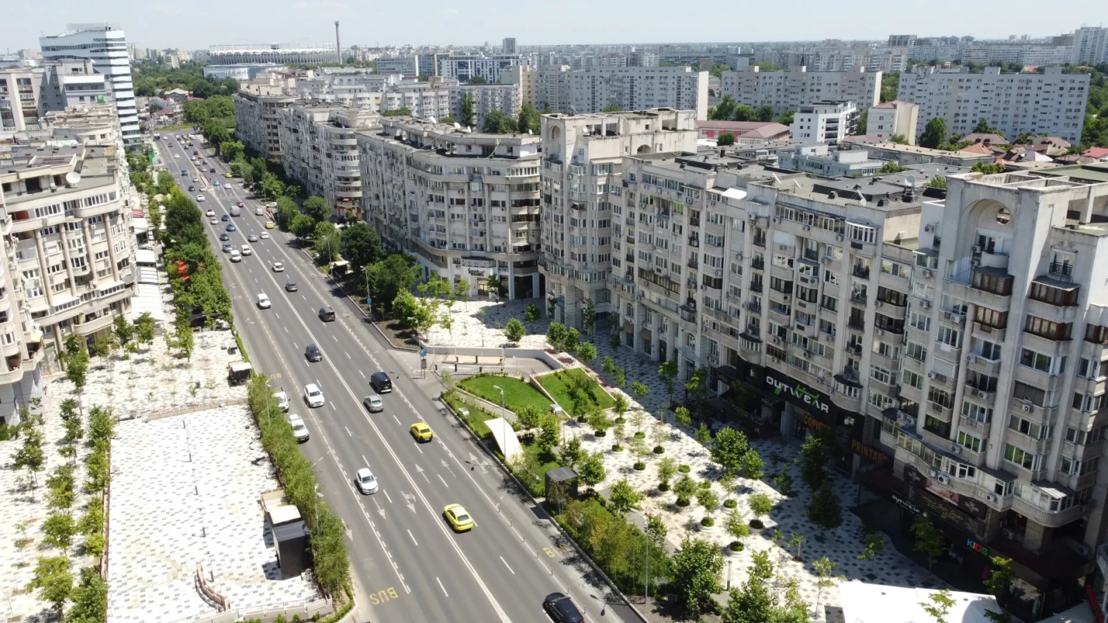 Invazie de fluturi în București. Ce spun experții despre acest fenomen neobișnuit
