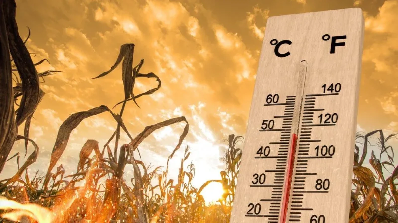 Meteorologii ANM au emis prognoza pe termen lung: Ne așteaptă o ”lună a lui cuptor” cum n-am mai avut de ani de zile
