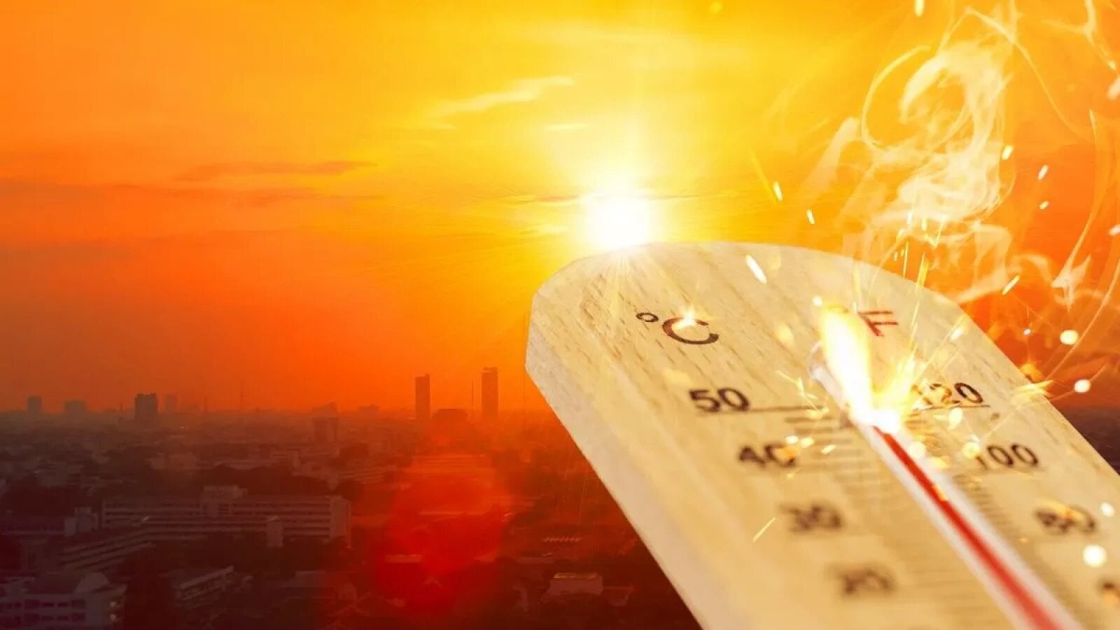Valul de caniculă din Europa a provocat 1.300 de decese suplimentare, avertizează directorul OMS