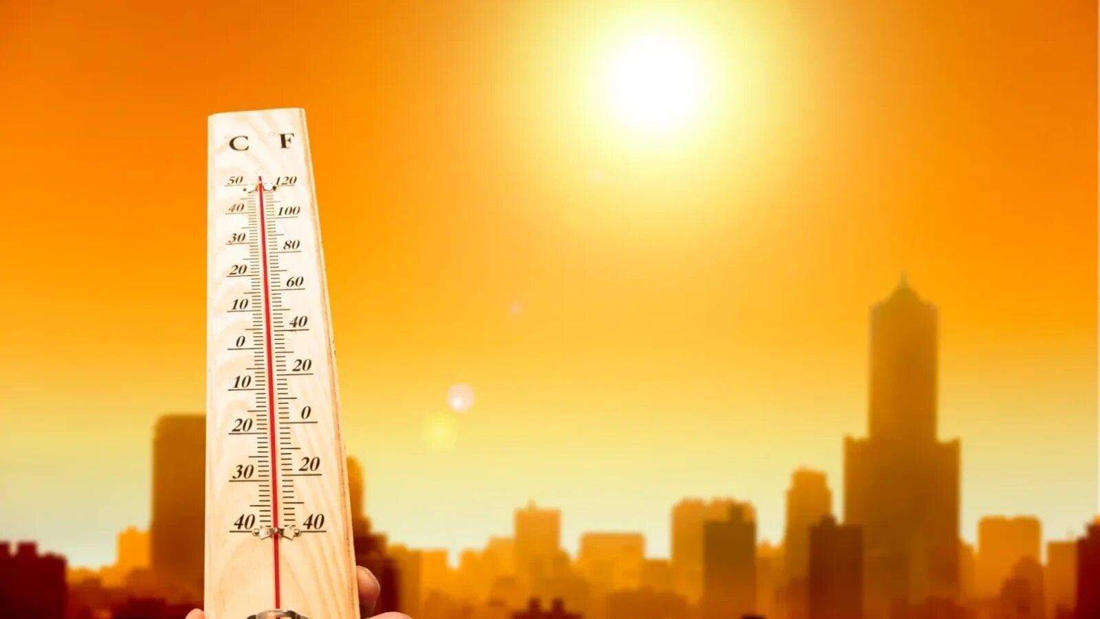 Franța, lovită de primul val de caniculă: cel puțin 300 de persoane au murit