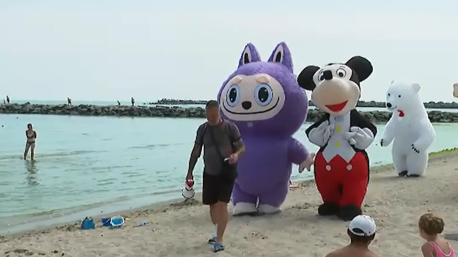 Amenzi de până la 2.500 de lei pentru Mickey Mouse, Fram sau Stich: Mascotele iubite de copii dispar de pe litoral