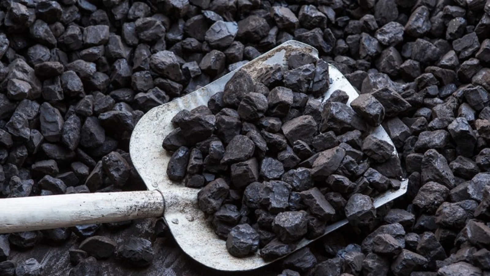 Dumitru Pîrvulescu, președintele Federației Naționale Mine Energie, susține că România ar trebui să mențină în funcțiune o parte dintre grupurile energetice pe cărbune
