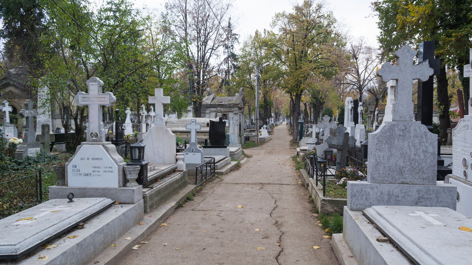 Un alt fel de pandemie: În Europa, între jumătatea lunii iunie şi jumătatea lunii august, au fost înregistrate peste 30.000 de decese în plus