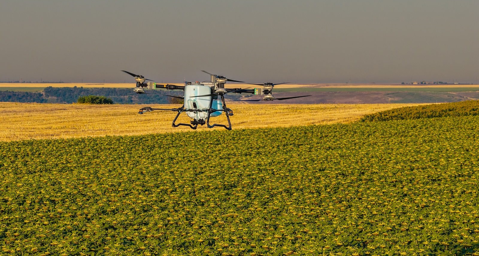 Unde nu a răsărit rapița? AEROCROP identifică zonele afectate cu ajutorul dronei