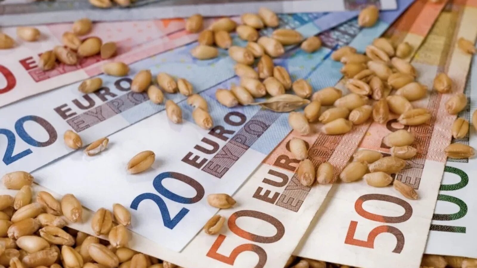 Fierbe piața cerealelor: Producția mondială pierde din record, prețurile urcă puternic