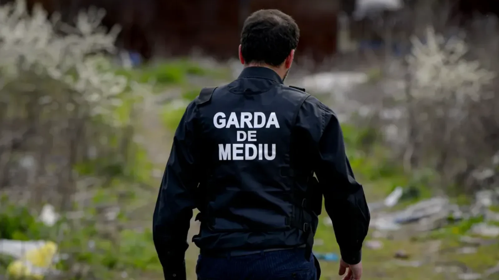 Amendă usturătoare pentru o firmă care colecta ilegal vehicule scoase din uz, fără autorizație de mediu